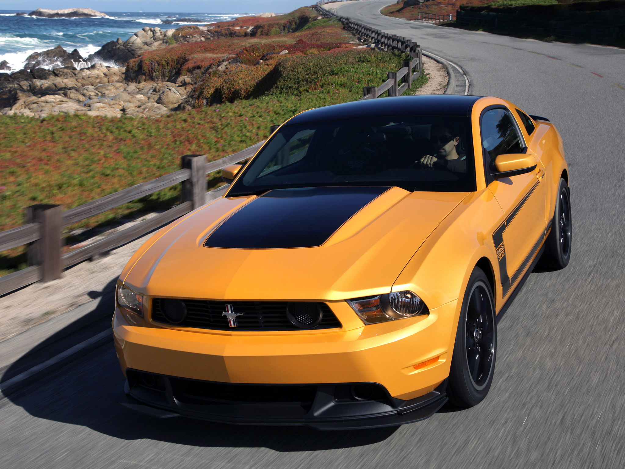 Ford Mustang 2010 Boss