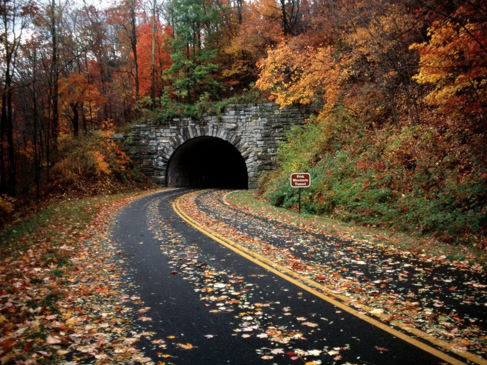 Осенний туннель