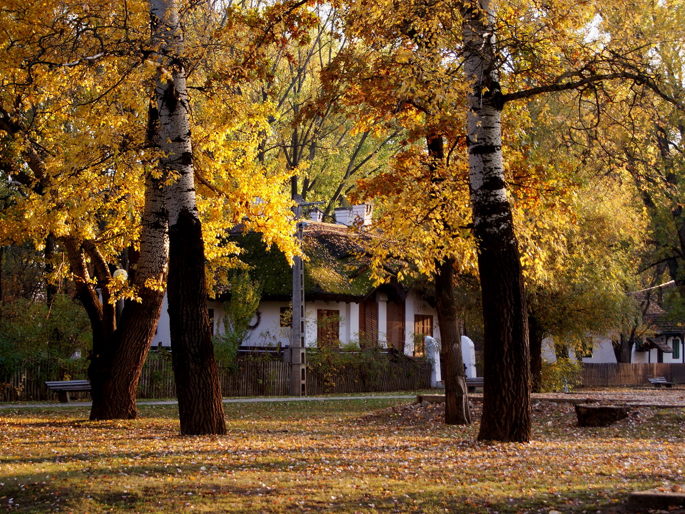 Осенний парк Гаврилов ям
