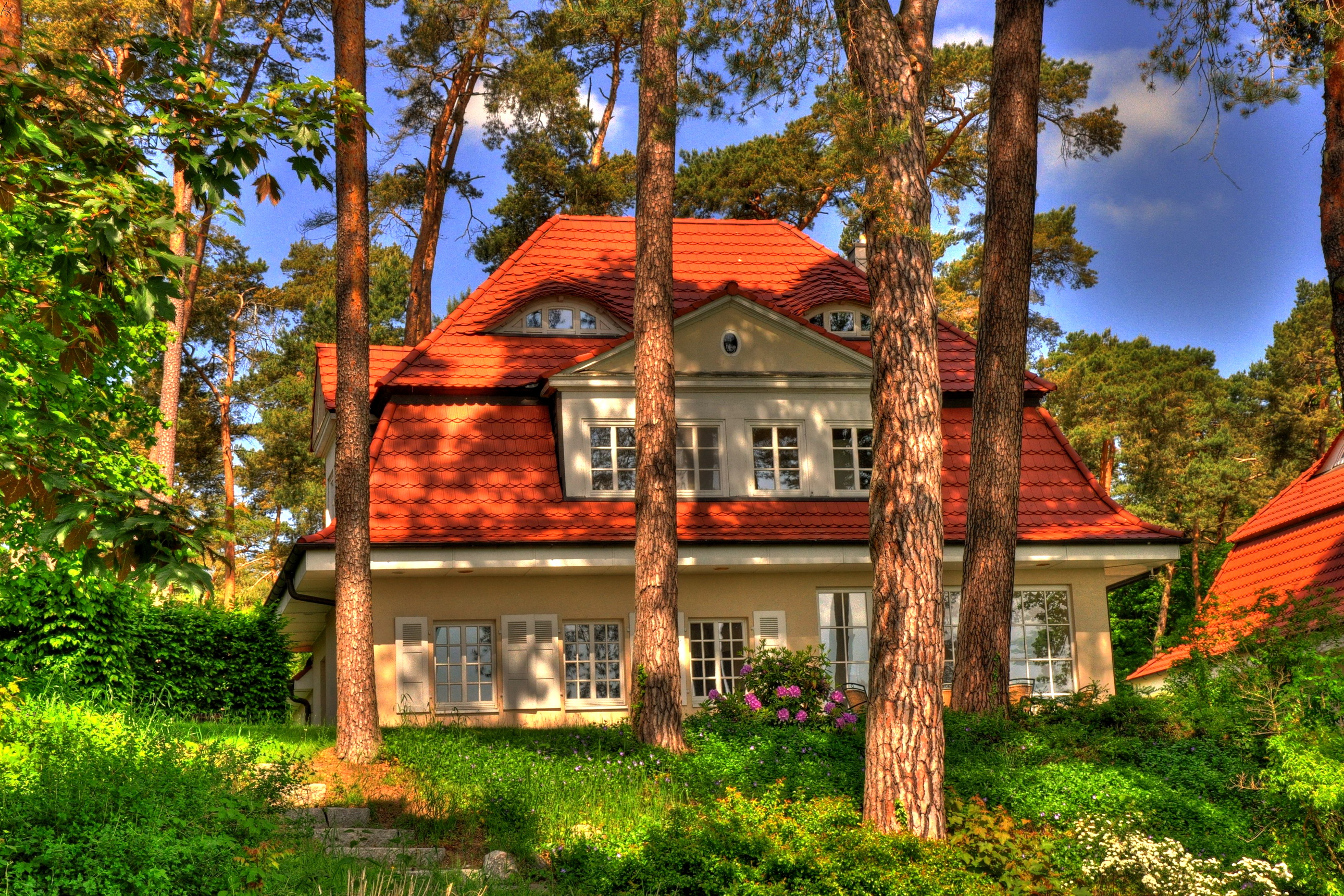 Домиков день. Дом среди сосен. Загородный дом. Дом в лесу. Дом среди деревьев.