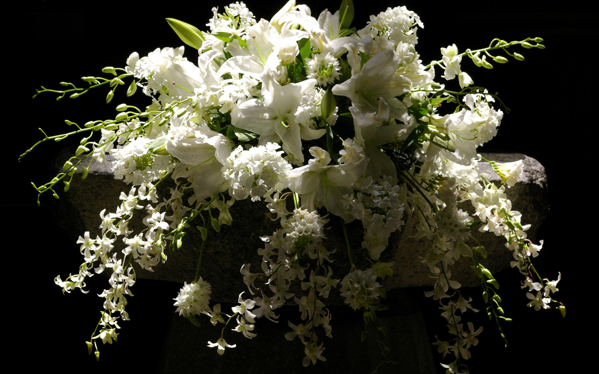 Необычные белые цветы