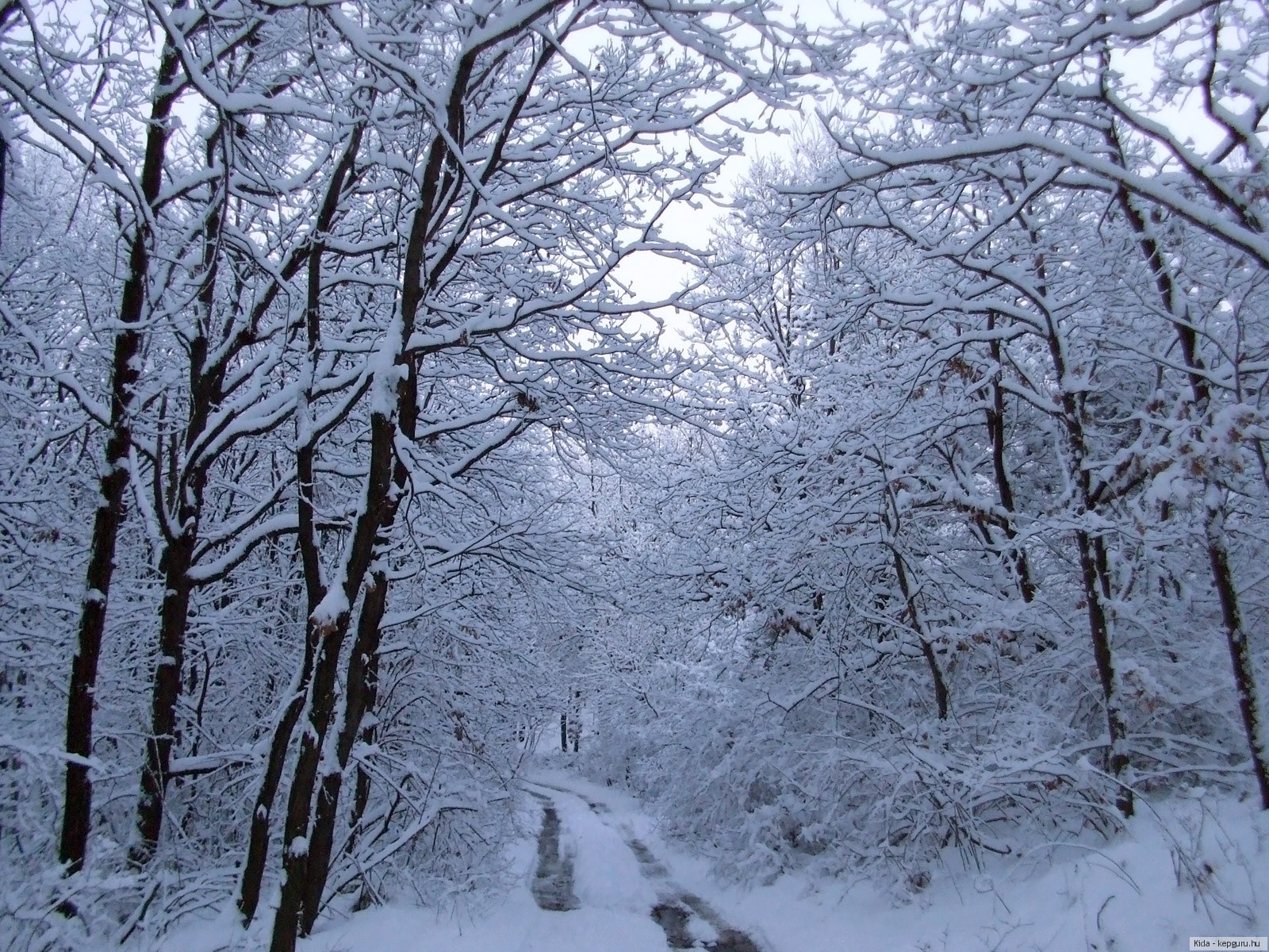 Картинка зима природа для странички в ВК