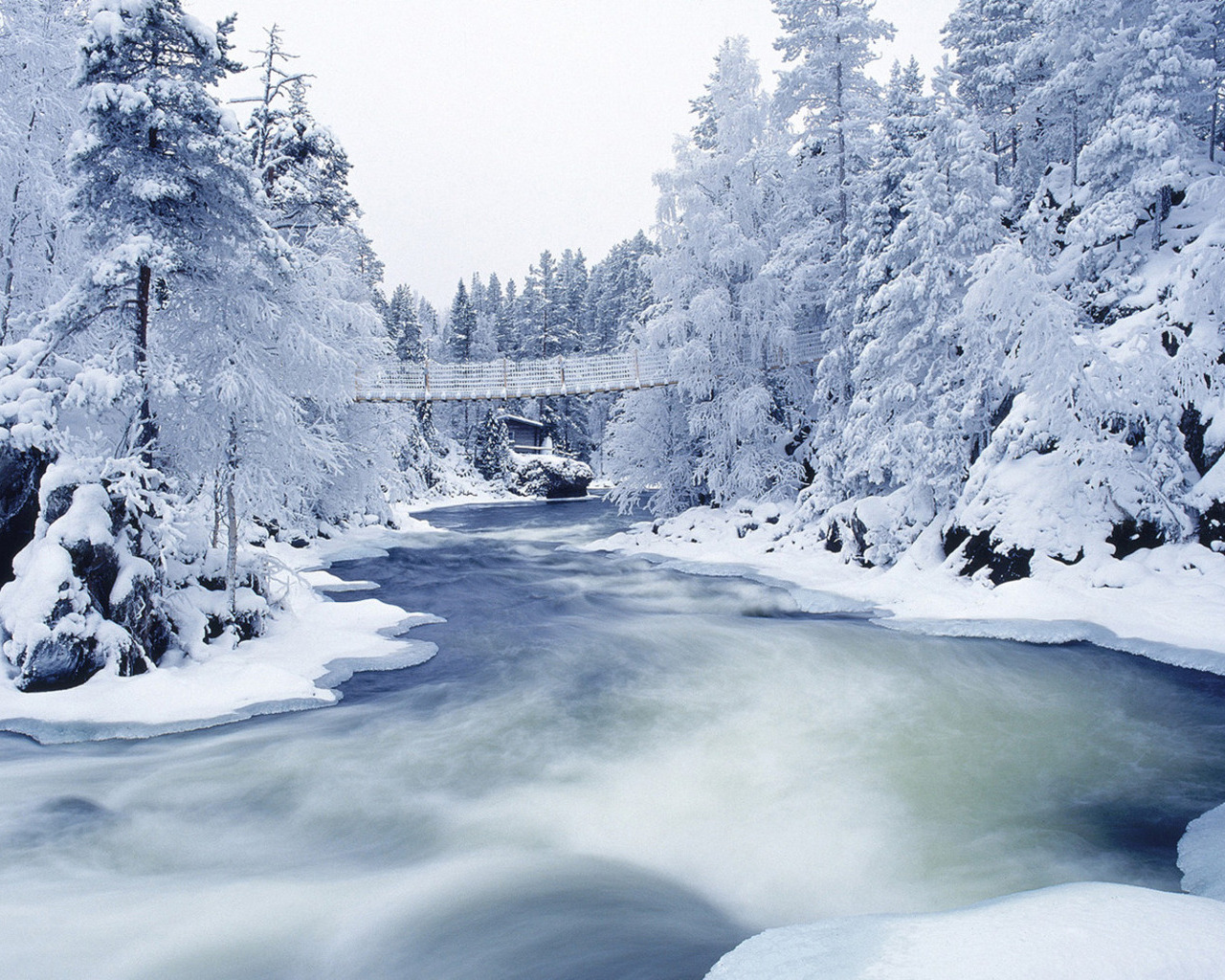 Замерзшая река (Frozen River) 2008