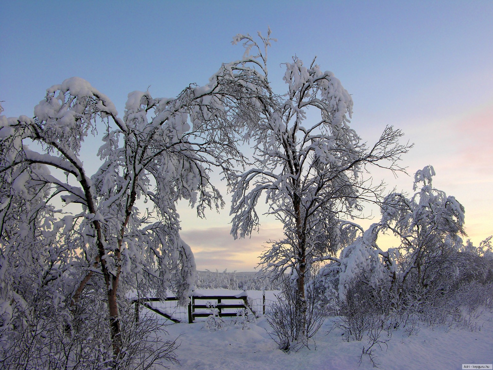 Заказ зима. Фотообои на стену природа зима. Зима январь калитка картинки. Пейзаж зимний деревьями здоровый забором и словами.