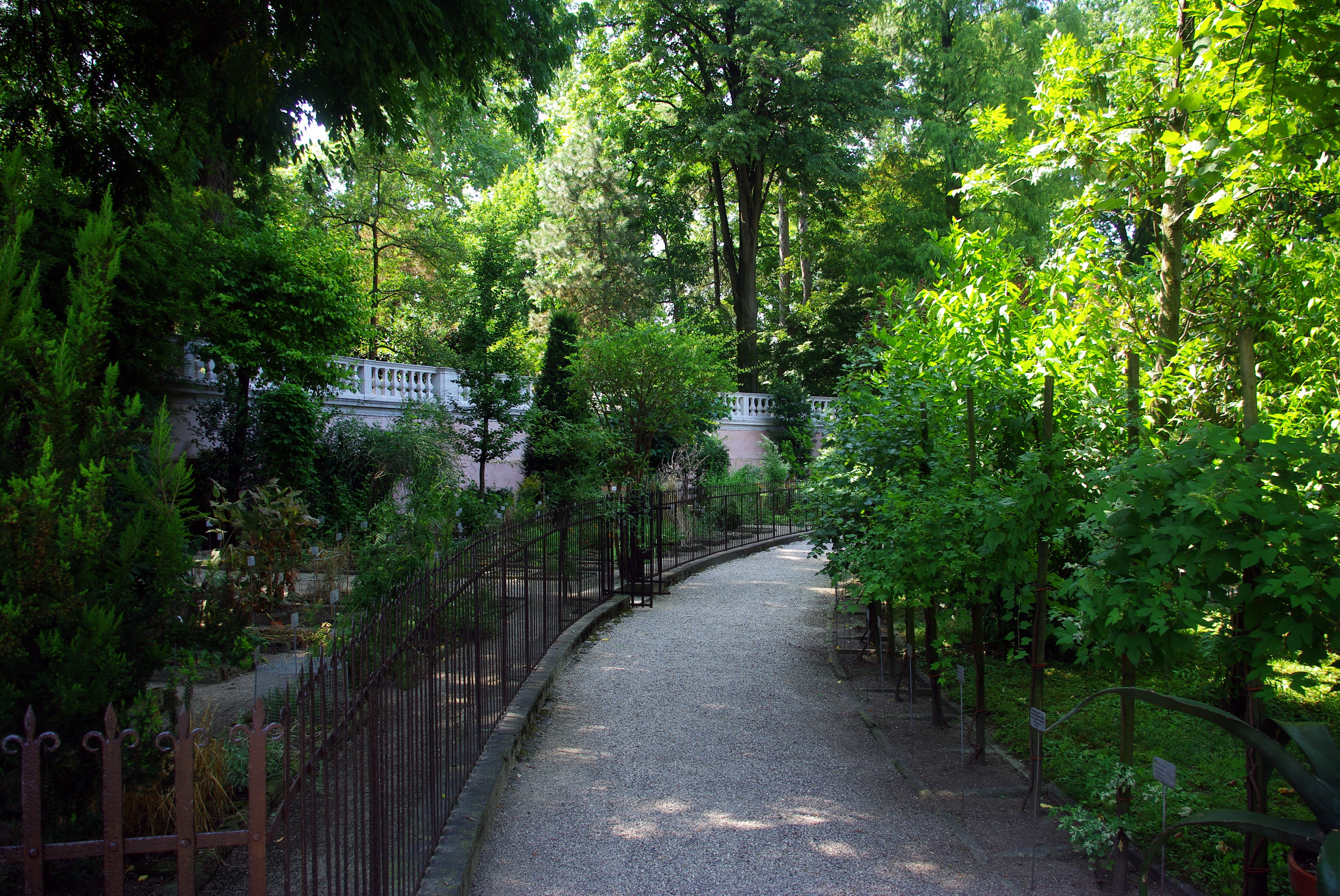 Ботанический сад в Падуе Италия