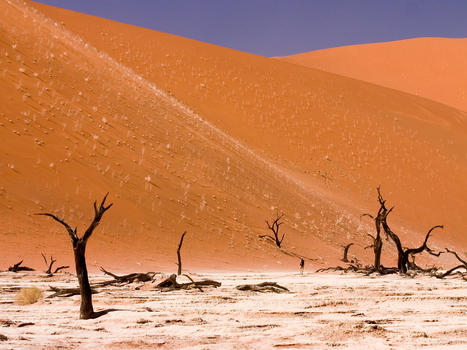 Пустыня Намиб природная зона