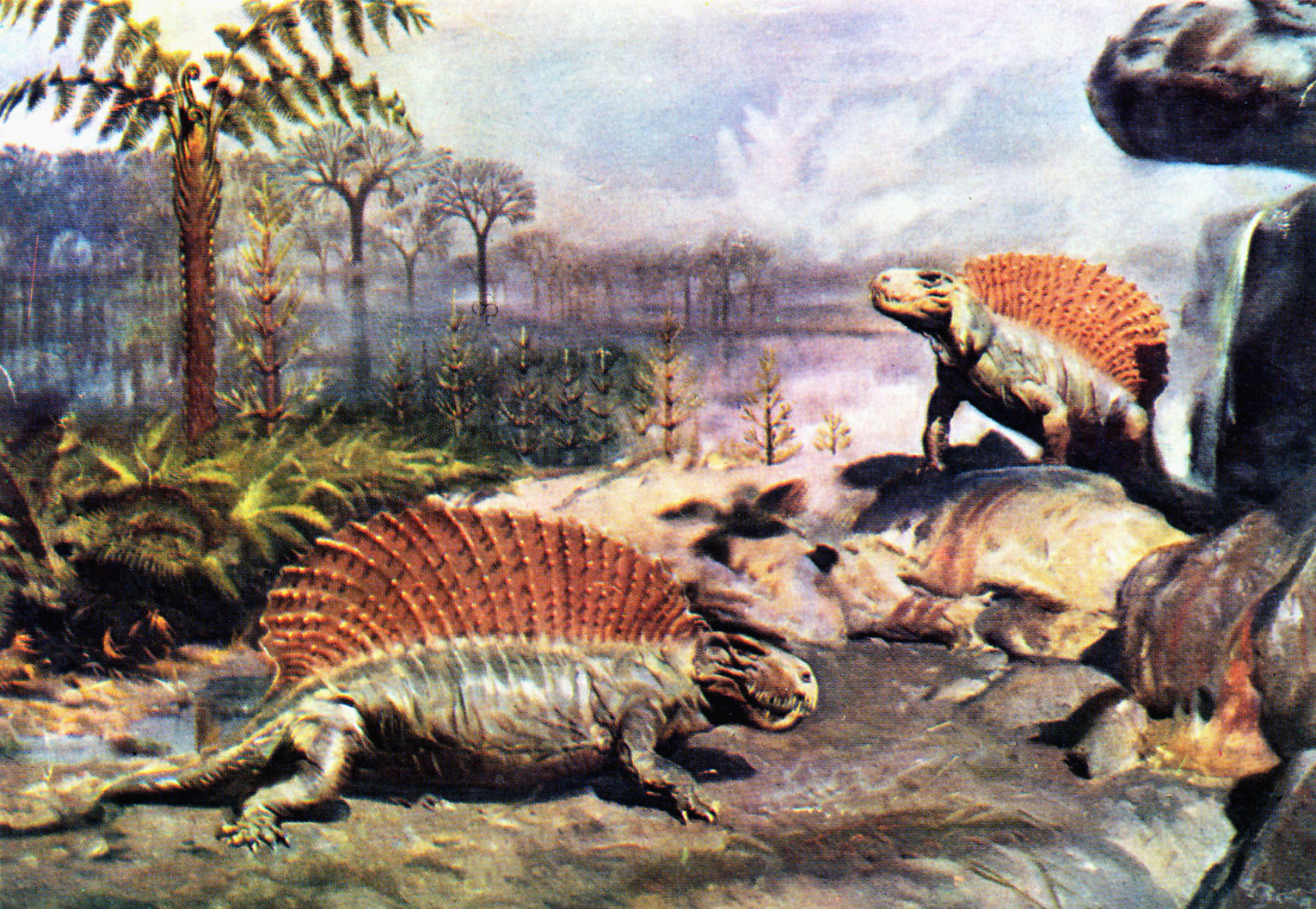 картинки первые животные