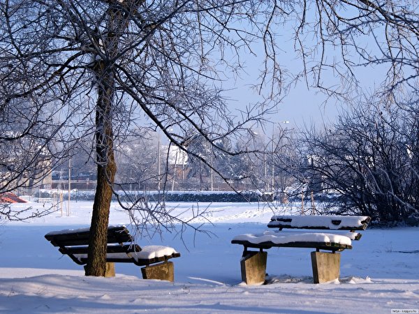 Фото природы времена года