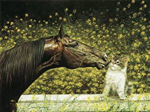 Картинки Лошадь Кошки Рисованные