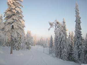 Фото природы времена года