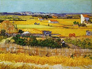 Фото Живопись Vincent Van Gogh