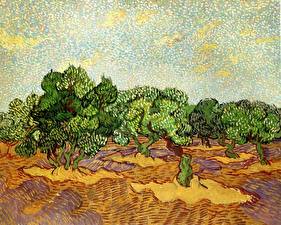 Фотография Живопись Vincent van Gogh - Olive Grove Pale Blue Sky