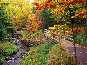 Картинки Сезон года Осень Осень в Michigan. США