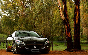 Картинка Maserati