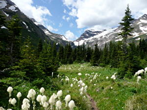 Обои Парк Горы Glacier National Park [USA, Montana]