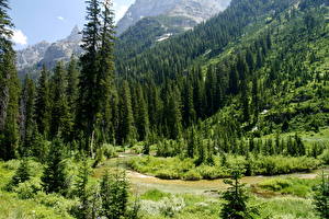 Фото Парк Гора Cascade Canyon Grand Teton National Park [USA, Wyoming]