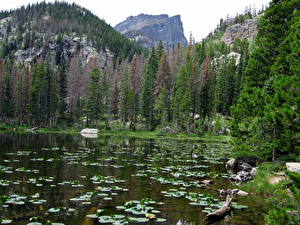 Картинки Парк Горы Cub Lake  Rocky Mountain National Park Colorado Природа