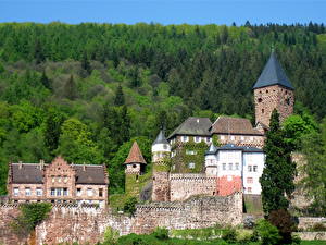 Фотографии Замки Германия Zwingenberg