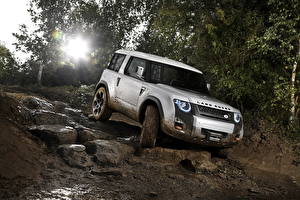 Фотографии Range Rover Defender