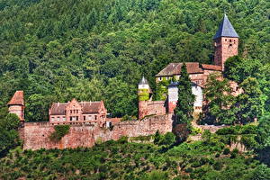 Фотографии Замки Германия Zwingenberg castle