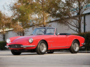 Картинка Ferrari 330 GTS 1967–68 авто