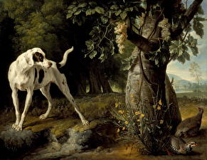 Обои Живопись Alexandre Francois Desportes - Landscape with a Dog and Partridges