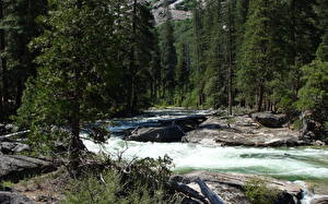 Картинки Парки Лес Река California США Йосемити Природа