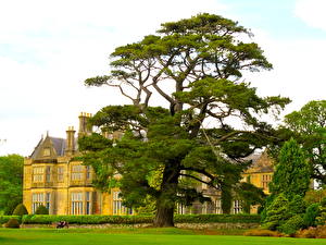 Фото Дома Ирландия Muckross House & Garden город