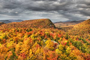 Обои Сезон года Осень Лес Vermont