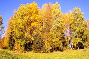 Фото Сезон года Осень