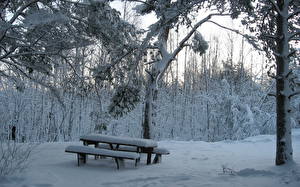 Картинки Времена года Зима Снегу Скамья Дерево Природа