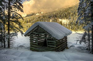 Фотографии Времена года Зима Лес Австрия Снег HDRI Alps