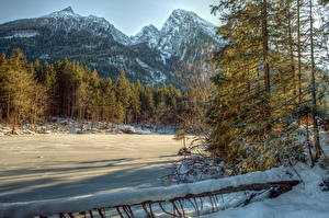 Фотография Сезон года Зимние Горы Лес Снега HDR